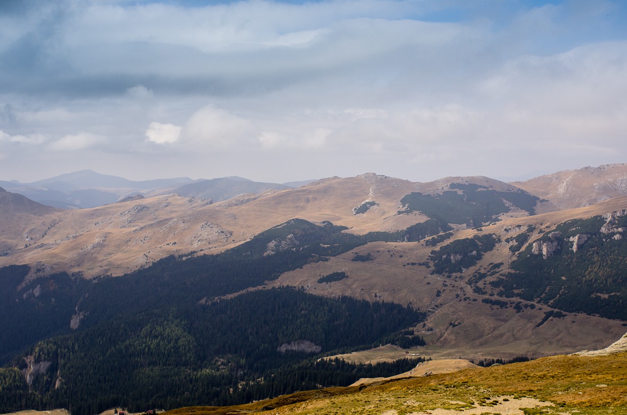 IMGP8272-2