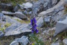 DSC00510