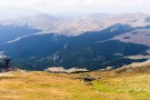 IMGP8276