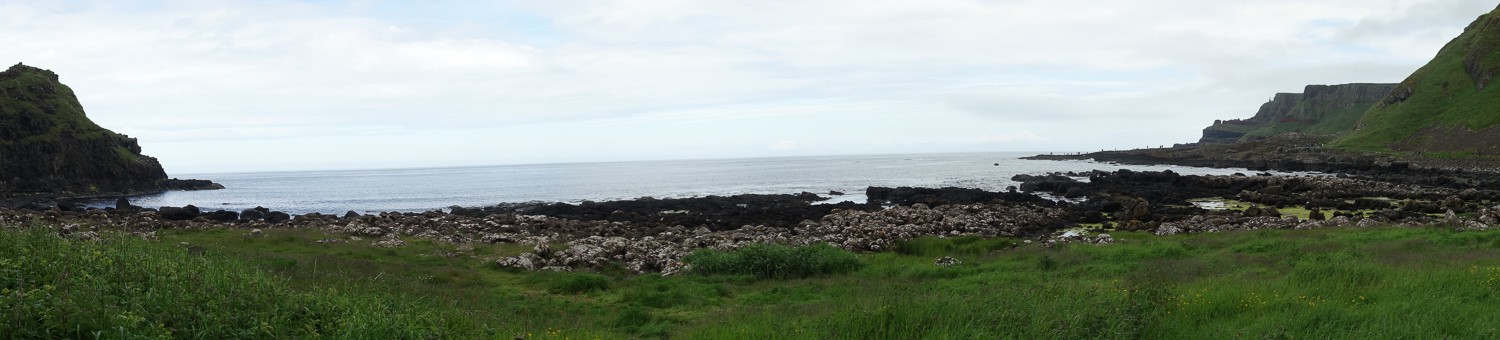 DSC02478