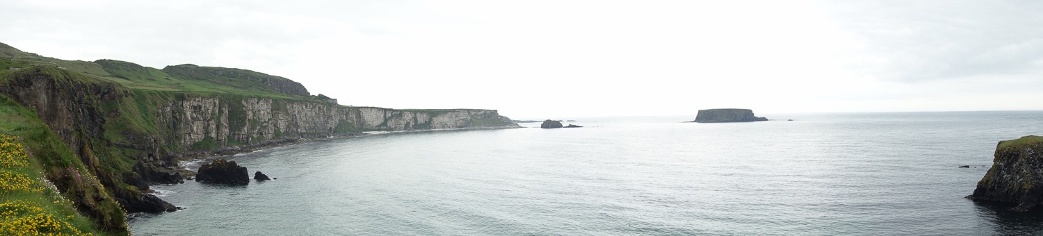 DSC02510