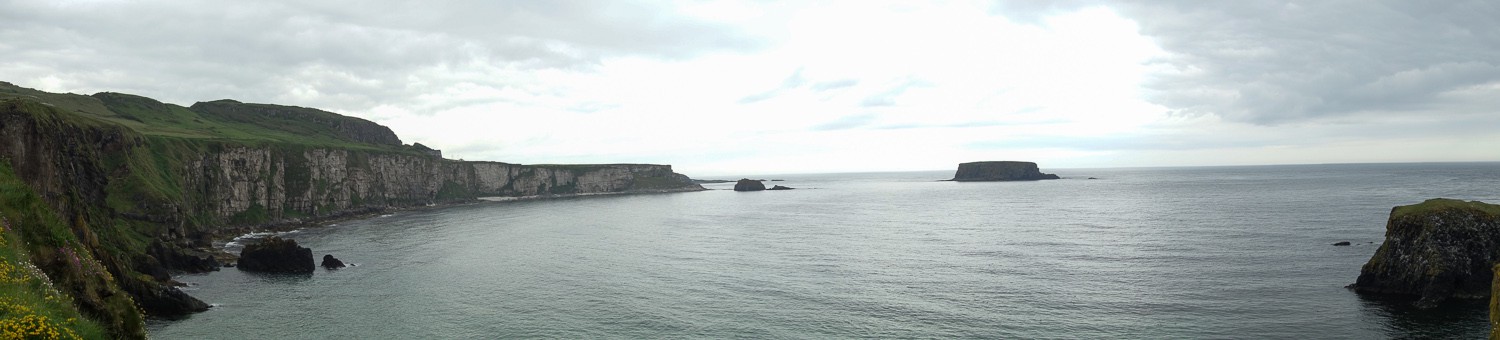 DSC02513