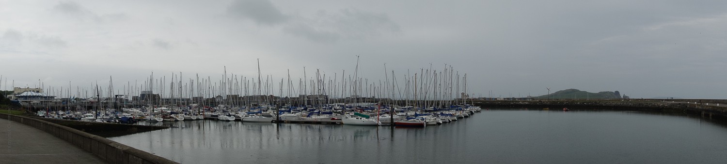 DSC02529