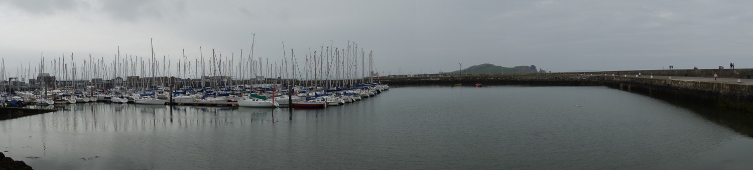 DSC02533