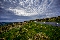 Irlandia: Wicklow,Glendalough,Ring of Kerry (2015/05/06)