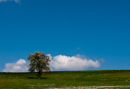 Beskid Niski (Maj 2011) 