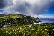 Irlandia (Maj/Czerwiec 2015) (2)